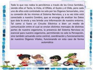 Todo lo que nos rodea lo percibimos a través de los Cinco Sentidos,
siendo ellos el Tacto, la Vista, el Olfato, el Gusto y el Oído, pero cada
uno de ellos está controlado no solo por los Órganos Sensoriales, sino
su conexión de los mismos al Sistema Nervioso, y a su vez éste está
conectado a nuestro Cerebro, que se encarga de analizar los Datos
que éste le envía y nos brinda una Información de nuestro entorno.
Tal como si fuera un Circuito Eléctrico o bien un medio de
comunicación entre el cual se envían distintos mensajes de distintas
partes de nuestro organismo, la presencia del Sistema Nervioso es
esencial para nuestro organismo, permitiendo no solo la Percepción,
sino también actuando como control, coordinación y funcionamiento
de nuestros Órganos Vitales, funcionando en esta caso de forma
automática
 