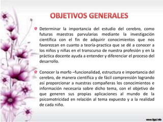 Determinar la importancia del estudio del cerebro, como
futuras maestras parvularias mediante la investigación
científica con el fin de adquirir conocimientos que nos
favorezcan en cuanto a teoría-practica que se dé a conocer a
los niños y niñas en el transcurso de nuestra profesión y en la
práctica docente ayuda a entender y diferenciar el proceso del
desarrollo.
Conocer la morfo –funcionalidad, estructura e importancia del
cerebro, de manera científica y de fácil comprensión logrando
así proporcionar a nuestras compañeras los conocimientos e
información necesaria sobre dicho tema, con el objetivo de
que generen sus propias aplicaciones al mundo de la
psicomotricidad en relación al tema expuesto y a la realidad
de cada niño.
 