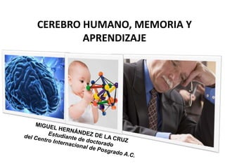 CEREBRO HUMANO, MEMORIA Y
APRENDIZAJE
 