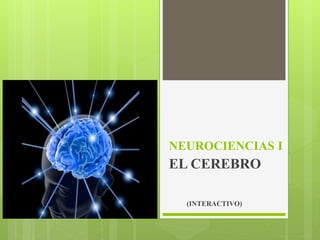 NEUROCIENCIAS I 
EL CEREBRO 
(INTERACTIVO) 
 
