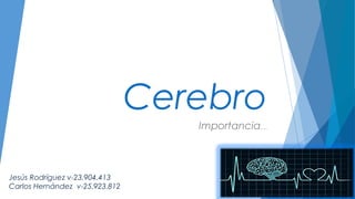 Cerebro
Importancia…
Jesús Rodríguez v-23.904.413
Carlos Hernández v-25.923.812
 