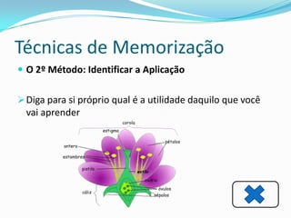Técnicas de Memorização
 O 2º Método: Identificar a Aplicação


 Diga para si próprio qual é a utilidade daquilo que você
  vai aprender
 