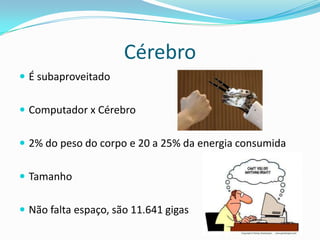 Cérebro
 É subaproveitado


 Computador x Cérebro


 2% do peso do corpo e 20 a 25% da energia consumida


 Tamanho


 Não falta espaço, são 11.641 gigas
 