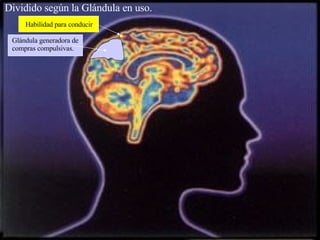 Dividido según la Glándula en uso. Glándula generadora de compras compulsivas. Habilidad para conducir . 