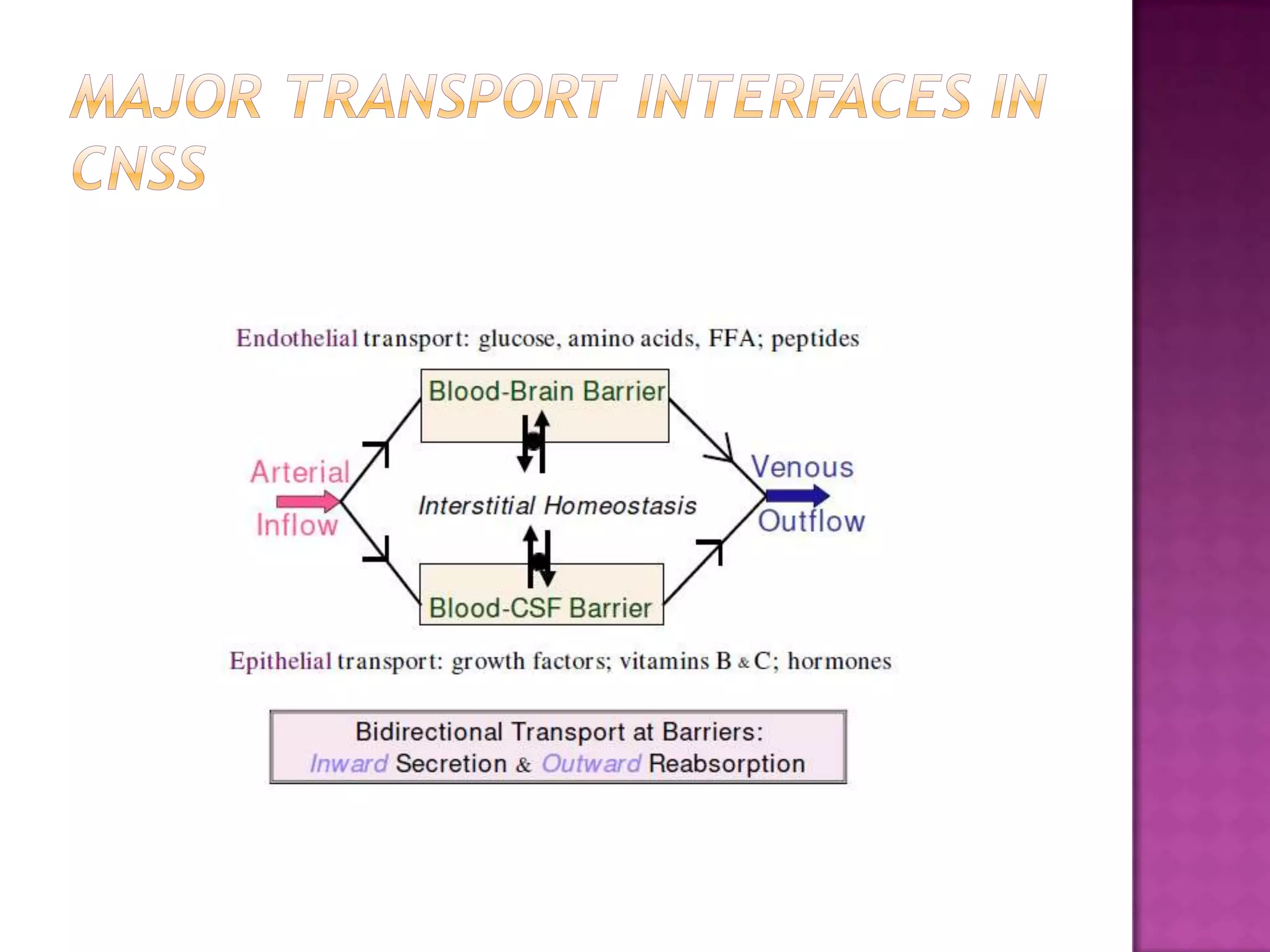 MAJOR TRANSPORT INTERFACES in CNSs