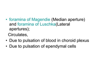 foramina of  Magendie  (Median aperture) and  foramina of  Luschka (Lateral apertures);  Circulates, Due to pulsation of blood in choroid plexus Due to pulsation of ependymal cells 