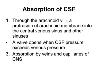 Absorption of CSF Through the arachnoid villi, a protrusion of arachnoid membrane into the central venous sinus and other sinuses A valve opens when CSF pressure exceeds venous pressure Absorption by veins and capillaries of CNS 