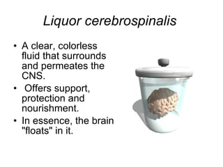 Liquor cerebrospinalis   A clear, colorless fluid that surrounds and permeates the CNS.  Offers support, protection and nourishment.  In essence, the brain "floats" in it.  