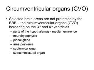 Circumventricular organs (CVO) Selected brain areas are not protected by the BBB – the circumventricular organs (CVO)  bordering on the 3 rd  and 4 th  ventricles parts of the hypothalamus - median eminence neurohypophysis pineal gland area postrema subfornical organ subcommissural organ 