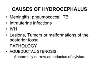 CAUSES OF HYDROCEPHALUS Meningitis: pneumococcal, TB Intrauterine infections  IVH  Lesions, Tumors or malformations of the posterior fossa PATHOLOGY AQUEDUCTAL STENOSIS:  Abnormally narrow aqueductus of sylvius. 