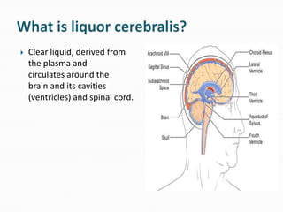    Clear liquid, derived from
    the plasma and
    circulates around the
    brain and its cavities
    (ventricles) and spinal cord.
 