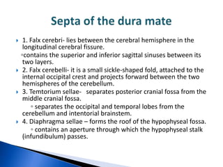     1. Falx cerebri- lies between the cerebral hemisphere in the
     longitudinal cerebral fissure.
    ◦contains the superior and inferior sagittal sinuses between its
     two layers.
    2. Falx cerebelli- it is a small sickle-shaped fold, attached to the
     internal occipital crest and projects forward between the two
     hemispheres of the cerebellum.
    3. Temtorium sellae- separates posterior cranial fossa from the
     middle cranial fossa.
        ◦ separates the occipital and temporal lobes from the
     cerebellum and intentorial brainstem.
    4. Diaphragma sellae – forms the roof of the hypophyseal fossa.
        ◦ contains an aperture through which the hypophyseal stalk
     (infundibulum) passes.
 