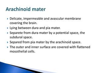    Delicate, impermeable and avascular membrane
    covering the brain.
   Lying between dura and pia mater.
   Separete from dura mater by a potential space, the
    subdural space.
   Separed from pia mater by the arachinoid space.
   The outer and inner surface are covered with flattened
    mosothelial cells.
 