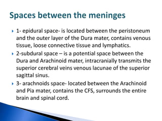    1- epidural space- is located between the peristoneum
    and the outer layer of the Dura mater, contains venous
    tissue, loose connective tissue and lymphatics.
   2-subdural space – is a potential space between the
    Dura and Arachinoid mater, intracranially transmits the
    superior cerebral veins venous lacunae of the superior
    sagittal sinus.
   3- arachnoids space- located between the Arachinoid
    and Pia mater, contains the CFS, surrounds the entire
    brain and spinal cord.
 