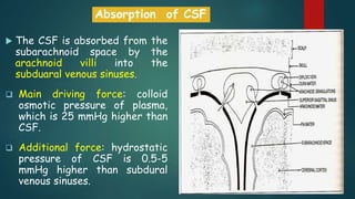  The CSF is absorbed from the
subarachnoid space by the
arachnoid villi into the
subduaral venous sinuses.
 Main driving force: colloid
osmotic pressure of plasma,
which is 25 mmHg higher than
CSF.
 Additional force: hydrostatic
pressure of CSF is 0.5-5
mmHg higher than subdural
venous sinuses.
Absorption of CSF
 