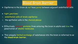 Blood Brain Barrier
 Capillaries in the brain do not have pores between adjacent endothelial cells
 tight junctions :
1. endothelial cells of brain capillaries
2. the epithelial cells in the choroid plexus
 Effectively prevent proteins from entering the brain in adults and slow the
penetration of smaller molecules.
 This uniquely limited exchange of substances into the brain is referred to as
the blood–brain barrier.
 