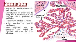 Formation
 Secreted by choroid plexuses into
each ventricle.
 Choroid plexus are areas where the
lining wall of the ventricle is very
thin and has a profusion of
capillaries.
 Selective ultrafiltration of plasma
 Active secretion by epithelial
membranes.
 some originates from the
ependymal cells lining the
ventricles and from the brain
substance.
31-05-2017 6
 