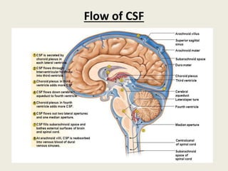 Cerebrospinal fluid | PPTX
