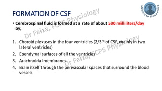 FORMATION OF CSF
• Cerebrospinal ﬂuid is formed at a rate of about 500 milliliters/day
by;
1. Choroid plexuses in the four ventricles (2/3rd of CSF, mainly in two
lateral ventricles)
2. Ependymal surfaces of all the ventricles
3. Arachnoidal membranes
4. Brain itself through the perivascular spaces that surround the blood
vessels
 