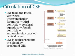 the formation and circulation of CEREBROSPINAL FLUID 2018.ppt