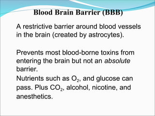 the formation and circulation of CEREBROSPINAL FLUID 2018.ppt