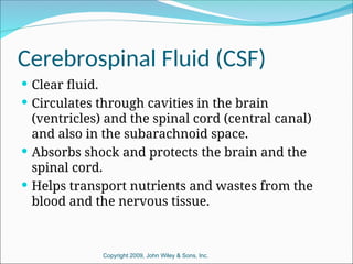 the formation and circulation of CEREBROSPINAL FLUID 2018.ppt