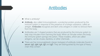 Antibodies
 What is antibody?
 Antibody, also called immunoglobulin, a protective protein produced by the
immune system in response to the presence of a foreign substance, called an
antigen. Antibodies recognize and latch onto antigens in order to remove them
from the body.
 Antibodies are Y-shaped proteins that are produced by the immune system to
help stop intruders from harming the body. When an intruder enters the body,
the immune system springs into action. These invaders, which are called
antigens, can be viruses, bacteria, or other chemicals.
 There are five immunoglobulin classes (isotypes) of antibody molecules found in
serum: IgG, IgM, IgA, IgE and IgD. They are distinguished by the type of heavy
chain they contain.
 