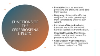 CEREBROSPINAL FLUID AND BLOOD BRAIN BARRIER(BBB.pptx