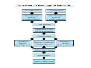 CEREBROSPINAL FLUID AND INTRACRANIAL PRESSURE | PPTX