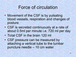 Comprehensive Overview of Cerebrospinal Fluid Formation, Circulation ...