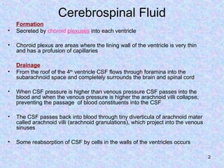 Comprehensive Overview of Cerebrospinal Fluid Formation, Circulation ...
