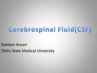 Cerebrospinal Fluid(CSF) Saddam Ansari Tbilisi State Medical University 