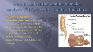 Cerebrospinal fluid (csf) D. ARAVINTH RAJ. | PPTX