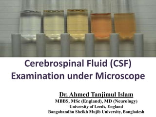 Cerebrospinal Fluid Color