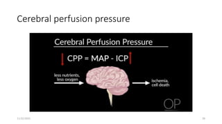 Cerebrospinal_fluid_CSF_function_and_circulation_with_clinical ...