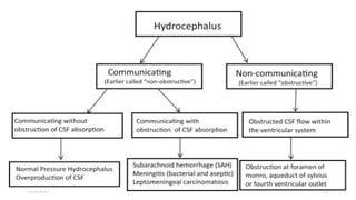 Cerebrospinal_fluid_CSF_function_and_circulation_with_clinical ...