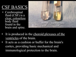 CSF BASICS
• Cerebrospinal
fluid (CSF) is a
clear, colourless
body fluid
found in the
brain and spine.
• It is produced in the choroid plexuses of the
ventricles of the brain.
• It acts as a cushion or buffer for the brain's
cortex, providing basic mechanical and
immunological protection to the brain.
 