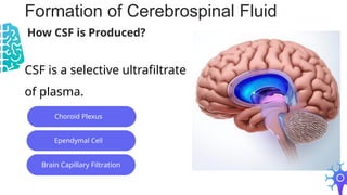 Cerebrospinal Fluid Routine & Microscopy.pptx