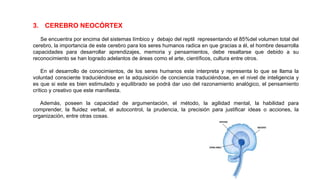 3. CEREBRO NEOCÓRTEX
Se encuentra por encima del sistemas límbico y debajo del reptil representando el 85%del volumen total del
cerebro, la importancia de este cerebro para los seres humanos radica en que gracias a él, el hombre desarrolla
capacidades para desarrollar aprendizajes, memoria y pensamientos, debe resaltarse que debido a su
reconocimiento se han logrado adelantos de áreas como el arte, científicos, cultura entre otros.
En el desarrollo de conocimientos, de los seres humanos este interpreta y representa lo que se llama la
voluntad consciente traduciéndose en la adquisición de conciencia traduciéndose, en el nivel de inteligencia y
es que si este es bien estimulado y equilibrado se podrá dar uso del razonamiento analógico, el pensamiento
crítico y creativo que este manifiesta.
Además, poseen la capacidad de argumentación, el método, la agilidad mental, la habilidad para
comprender, la fluidez verbal, el autocontrol, la prudencia, la precisión para justificar ideas o acciones, la
organización, entre otras cosas.
 
