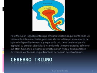 Paul MacLean (1990) plantea que estos tres sistemas que conforman un
todo están interconectados, pero que al mismo tiempo son capaces de
operar independientemente, ya que cada uno tiene una inteligencia
especial, su propia subjetividad y sentido de tiempo y espacio, así como
sus otras funciones. Estas tres estructuras son física y químicamente
diferentes, conforman lo que MacLean denominó Cerebro Triuno.


CEREBRO TRIUNO
                                     Dr. Luis Germán González              1
 