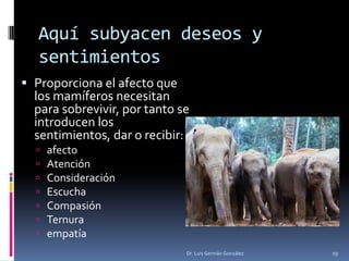 Aquí subyacen deseos y
sentimientos
 Proporciona el afecto que
los mamíferos necesitan
para sobrevivir, por tanto se
introducen los
sentimientos, dar o recibir:
 afecto
 Atención
 Consideración
 Escucha
 Compasión
 Ternura
 empatía
Dr. Luis Germán González 19
 