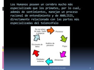 Los Humanos poseen un cerebro mucho más
especializado que los primates, por lo cual,
además de sentimientos, manejan un proceso
racional de entendimiento y de ANÁLISIS,
directamente relacionado con las partes más
especializadas del telencéfalo
Dr. Luis Germán González 27
 