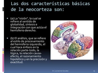 Las dos características básicas
de la neocorteza son:
 (a) La "visión", la cual se
refiere al sentido de
globalidad, síntesis e
integración con que actúa el
hemisferio derecho.
 (b) El análisis, que se refiere
al estilo de procesamiento
del hemisferio izquierdo, el
cual hace énfasis en la
relación parte-todo, la
lógica, la relación causa-
efecto, el razonamiento
hipotético y en la precisión y
exactitud.
Dr. Luis Germán González 29
 