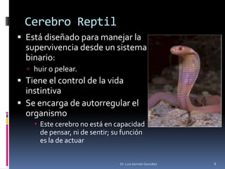 Cerebro Reptil
 Está diseñado para manejar la
supervivencia desde un sistema
binario:
 huir o pelear.
 Tiene el control de la vida
instintiva
 Se encarga de autorregular el
organismo
 Este cerebro no está en capacidad
de pensar, ni de sentir; su función
es la de actuar
Dr. Luis Germán González 6
 