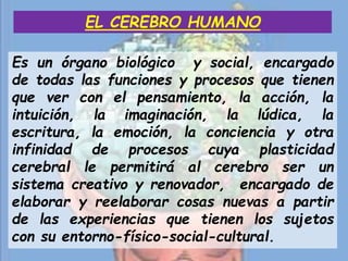 Es un órgano biológico y social, encargado
de todas las funciones y procesos que tienen
que ver con el pensamiento, la acción, la
intuición, la imaginación, la lúdica, la
escritura, la emoción, la conciencia y otra
infinidad de procesos cuya plasticidad
cerebral le permitirá al cerebro ser un
sistema creativo y renovador, encargado de
elaborar y reelaborar cosas nuevas a partir
de las experiencias que tienen los sujetos
con su entorno-físico-social-cultural.
EL CEREBRO HUMANO
 