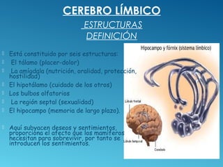 CEREBRO LÍMBICO
ESTRUCTURAS
DEFINICIÓN
 Está constituido por seis estructuras:
 El tálamo (placer-dolor)
 La amígdala (...