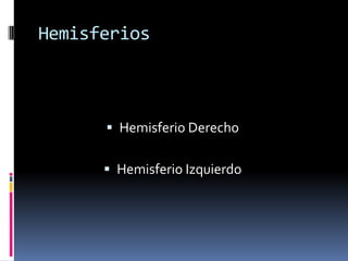 Hemisferios 
Hemisferio Derecho 
Hemisferio Izquierdo  