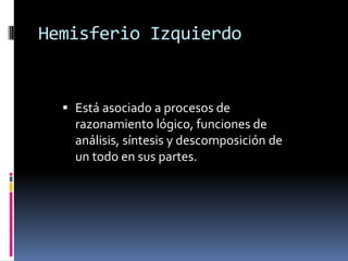 Hemisferio Izquierdo 
Está asociado a procesos de razonamiento lógico, funciones de análisis, síntesis y descomposición de un todo en sus partes.  