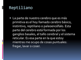 Reptiliano 
La parte de nuestro cerebro que es más primitiva es el hoy llamado cerebro básico, instintivo, reptiliano o paleoencéfalo. Esta parte del cerebro está formada por los ganglios basales, el tallo cerebral y el sistema reticular. Es esa parte en la que estoy mientras me ocupo de cosas puntuales: fregar, lavar o coser.  