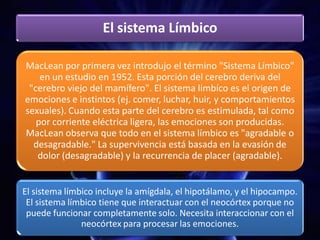 El sistema Límbico
MacLean por primera vez introdujo el término "Sistema Límbico"
en un estudio en 1952. Esta porción del cerebro deriva del
"cerebro viejo del mamífero". El sistema limbíco es el origen de
emociones e instintos (ej. comer, luchar, huir, y comportamientos
sexuales). Cuando esta parte del cerebro es estimulada, tal como
por corriente eléctrica ligera, las emociones son producidas.
MacLean observa que todo en el sistema límbico es "agradable o
desagradable." La supervivencia está basada en la evasión de
dolor (desagradable) y la recurrencia de placer (agradable).
El sistema límbico incluye la amígdala, el hipotálamo, y el hipocampo.
El sistema límbico tiene que interactuar con el neocórtex porque no
puede funcionar completamente solo. Necesita interaccionar con el
neocórtex para procesar las emociones.
 